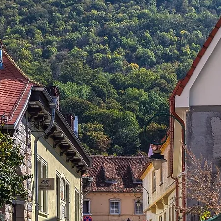 Apartment Sun Brasov